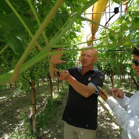 كاستلانيتا Masseria Marico المظهر الخارجي الصورة