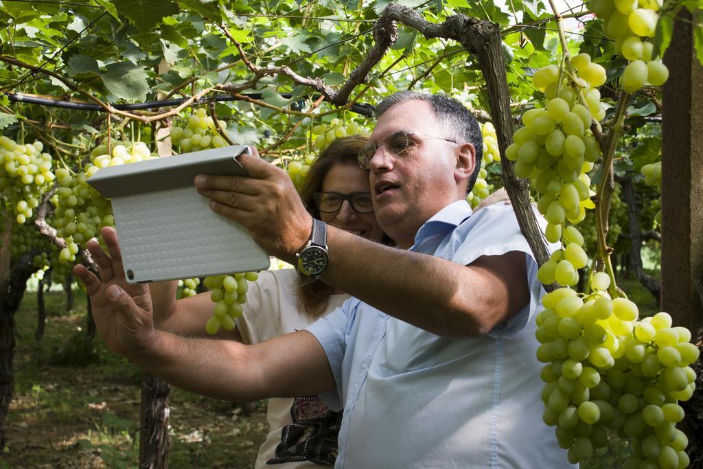 كاستلانيتا Masseria Marico المظهر الخارجي الصورة